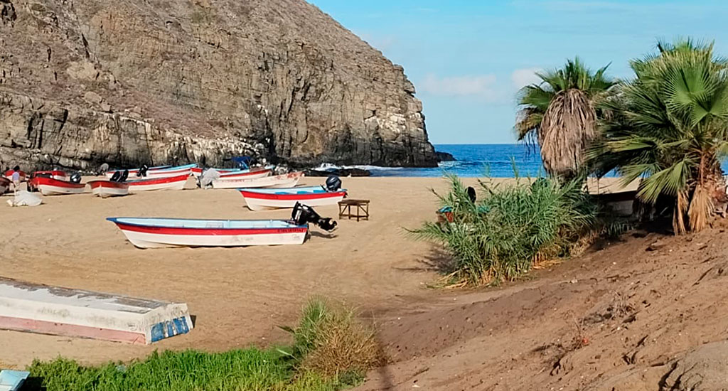 Hotel San Cristobal Todos Santos Food and Perfect Transfer