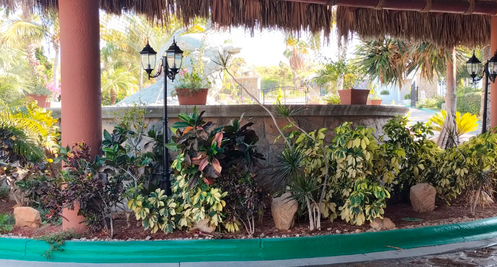 Hyatt Vacation Club at Sirena del Mar Transportation